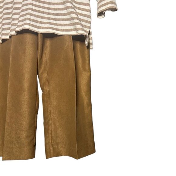 Ruby Rd. Brown Long Sleeve Striped Tunic Size L & Pull On Ankle Pants Size 14P - Picture 3 of 13